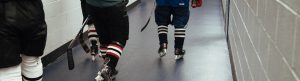 Hockey Rinks, Hockey Arenas, Surfaces | FJ Roberts
